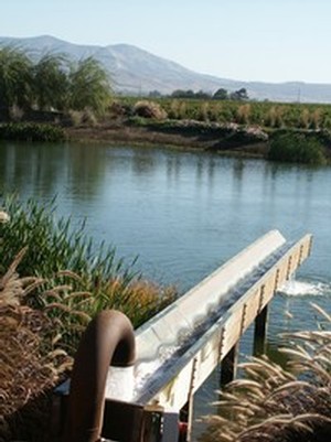 Behind the Sluice