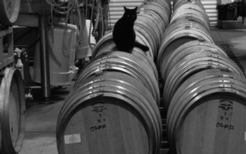 Wrath Wines Cat